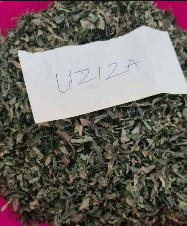 Dried Uziza Leafs (medium)